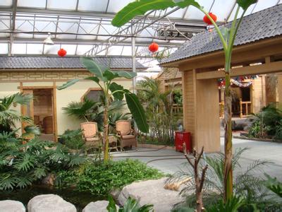 專業設計 施工各種鋼結構智能溫室、鋼結構室內園林景觀生態園工程、網架花卉溫室工程