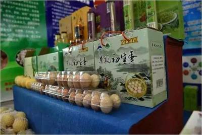 夏日果香四溢，大盛鎮生態園邀您盡享采摘之樂
