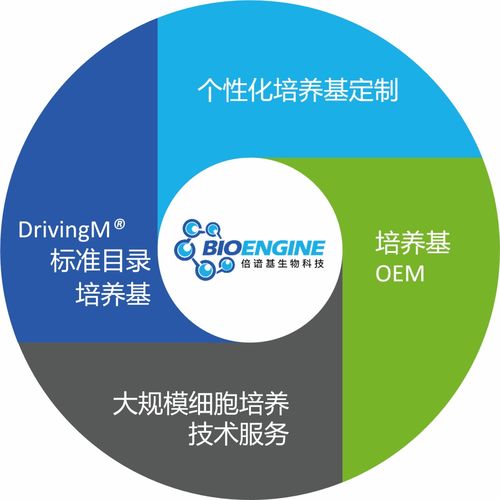 三十年匠心打造細胞培養新動力 寫意會員倍諳基生物的生物基材料技術研發