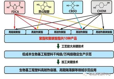 中科院寧波所生物基高分子團隊獲批國家重點研發計劃項目，推動生物基材料技術研發